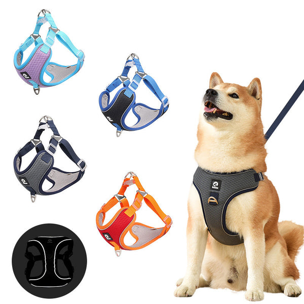 Accesories