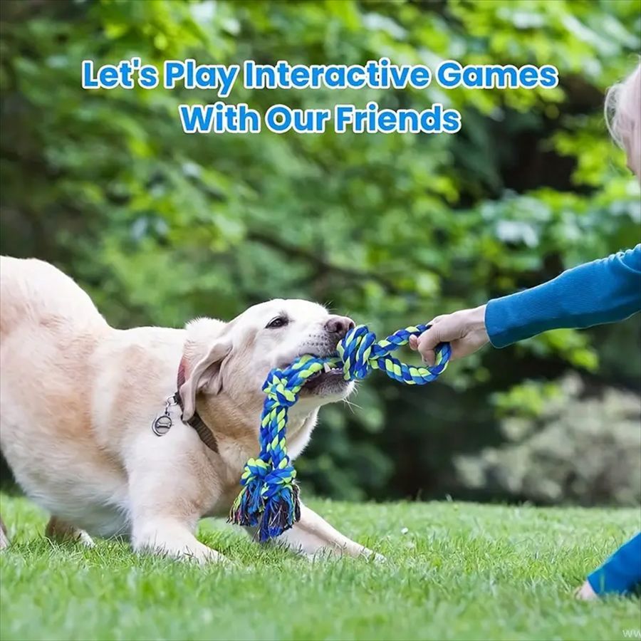 Heavy-Duty Rope & Knot Toy For Dogs - Tug Of War