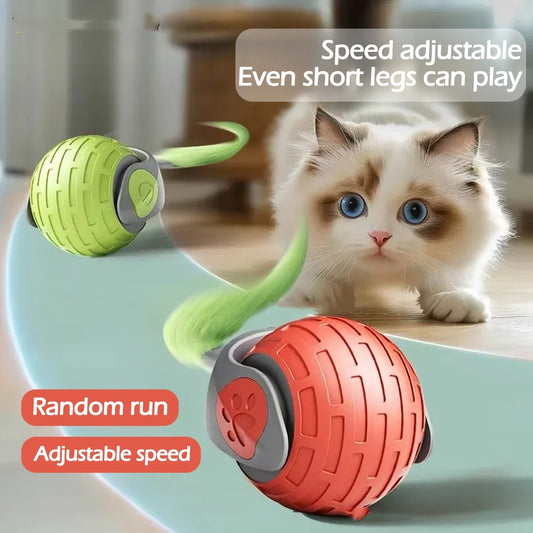Interactive Cat Toy USB Rechargeable – Smart Electric Rolling Ball for Active Play and Exercise