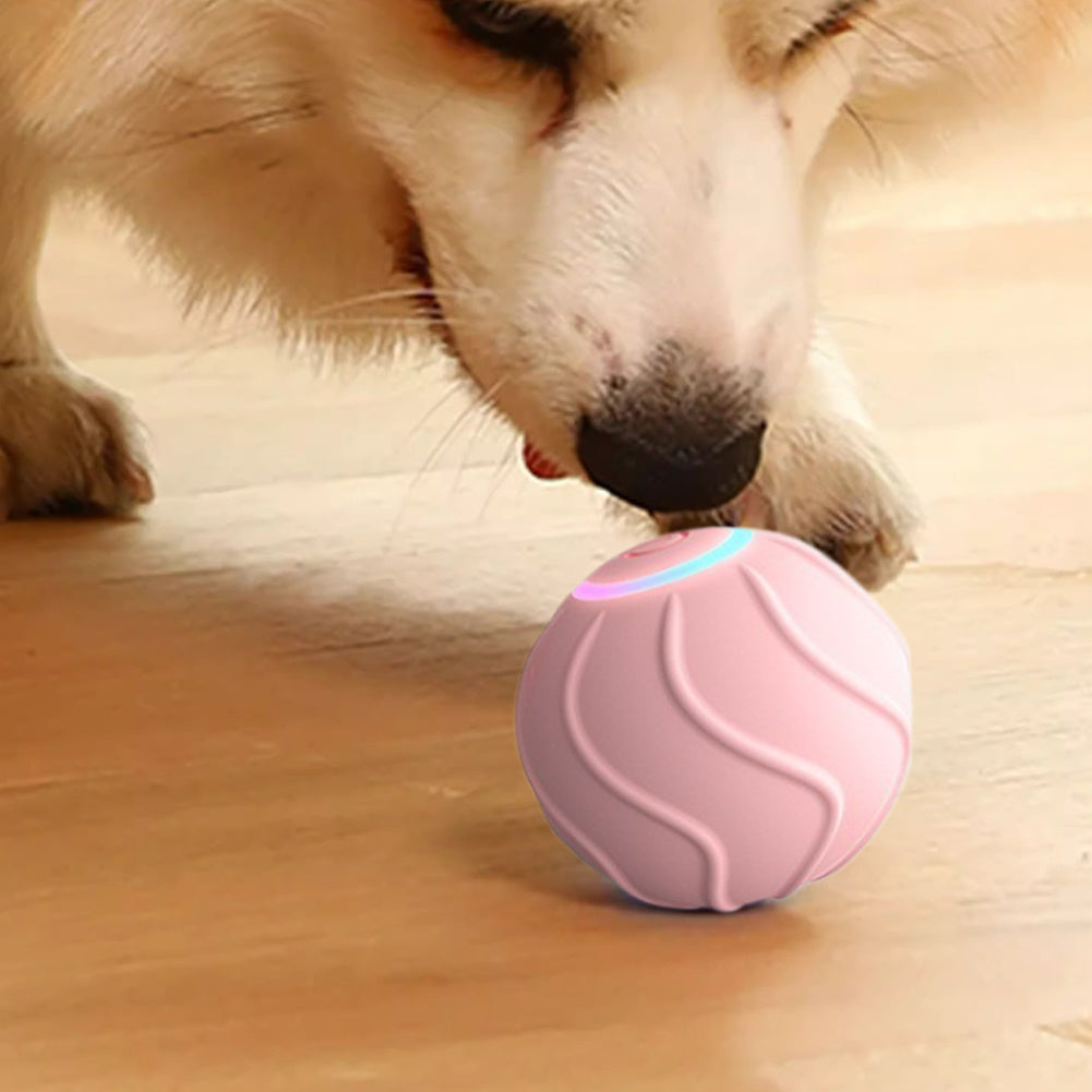 Electric Bouncing Ball For Cats & Dogs - Jumping Interactive Toy