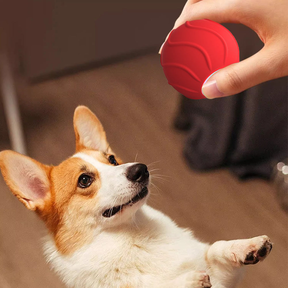 Electric Bouncing Ball For Cats & Dogs - Jumping Interactive Toy