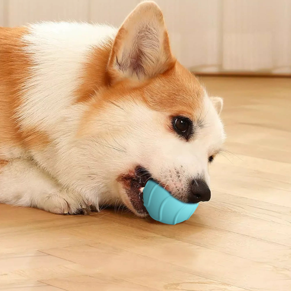 Electric Bouncing Ball For Cats & Dogs - Jumping Interactive Toy
